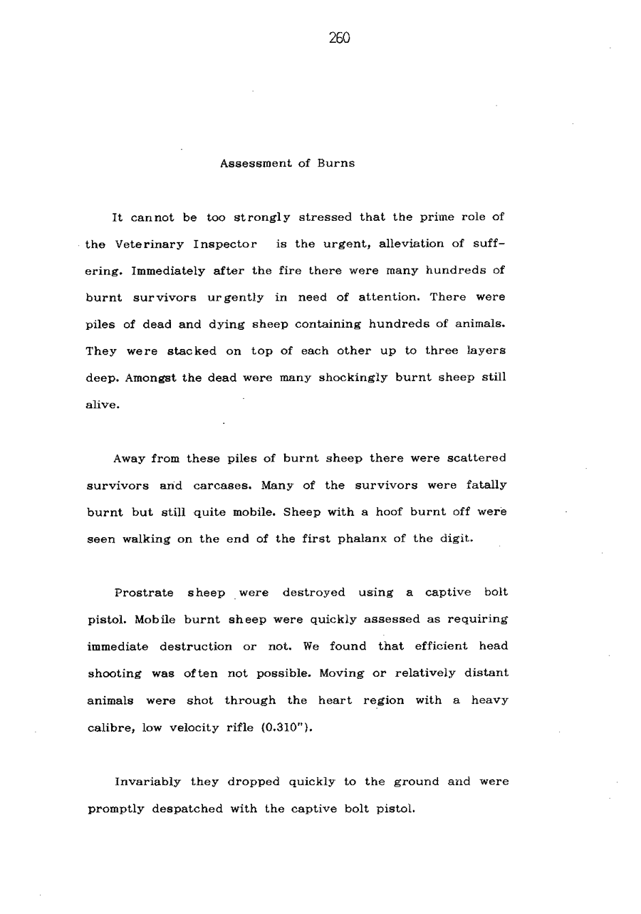 1986 Page 260